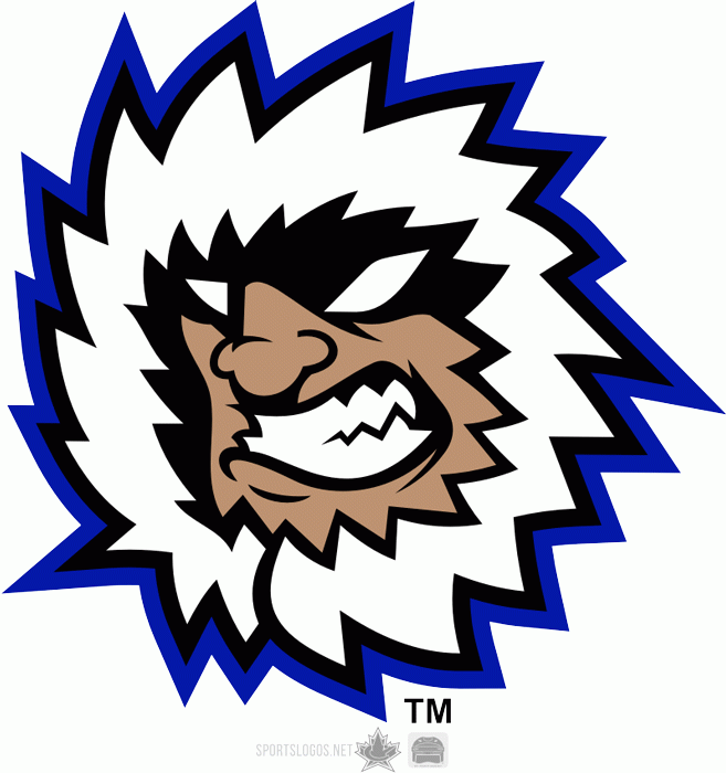 evansville icemen 2012-pres secondary logo iron on transfers for clothing